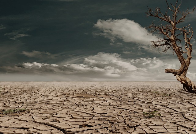 Qu’est-ce que Érosion du sol? Conséquences de l'érosion du sol en agriculture